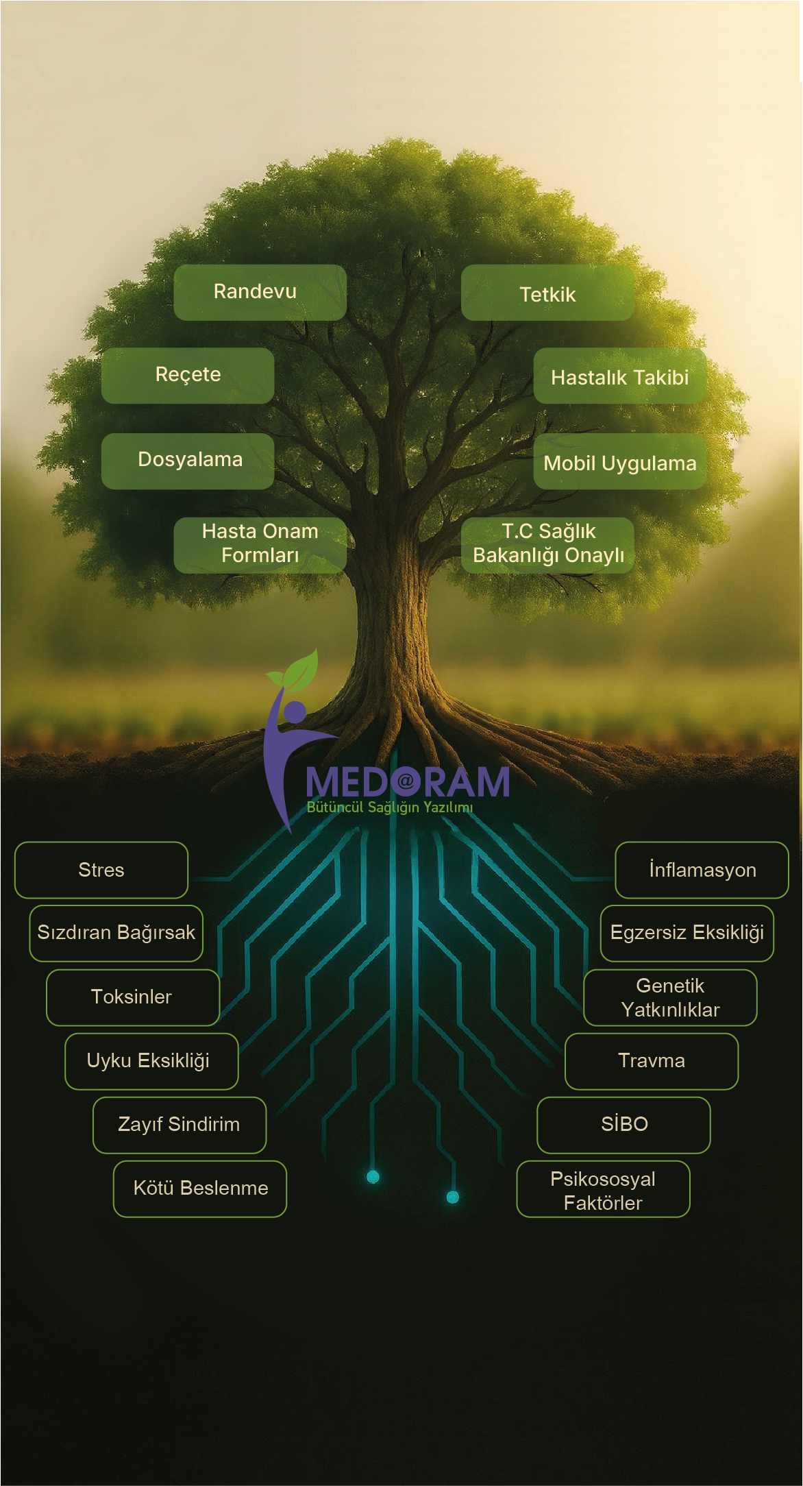 Medoram Dashboard - Güvenli Platform